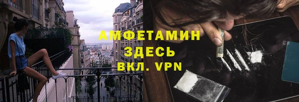 индика Гусев
