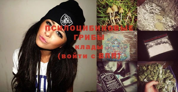винт Дмитров