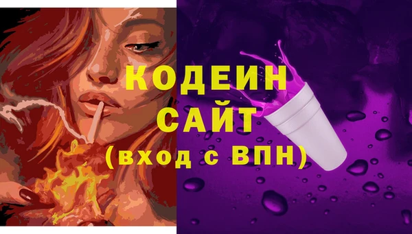 индика Гусев