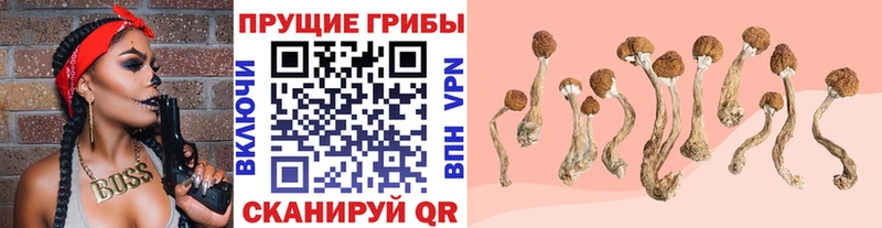 Галлюциногенные грибы GOLDEN TEACHER Купить где Озёры