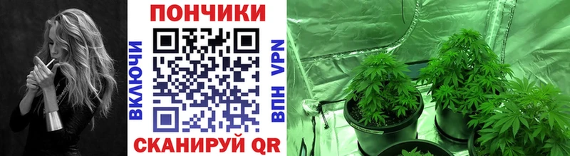 МАРИХУАНА SATIVA & INDICA Озёры